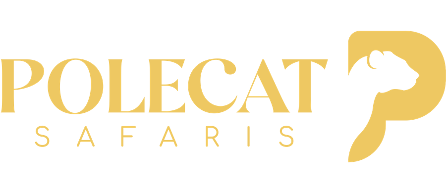 Polecat Safaris